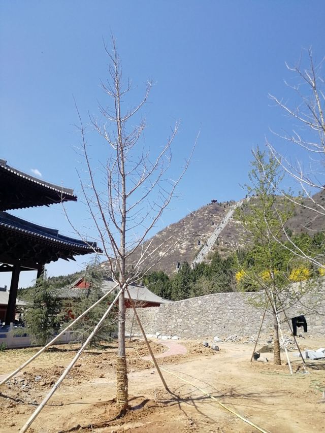 唐縣慶都山騎馬場攻略,唐縣慶都山騎馬場門票/遊玩攻略/地址/圖片