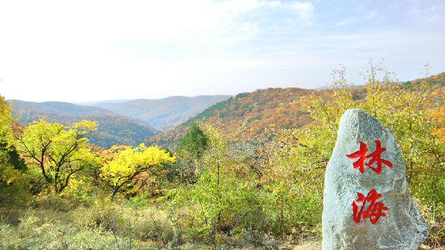 劳山森林公园