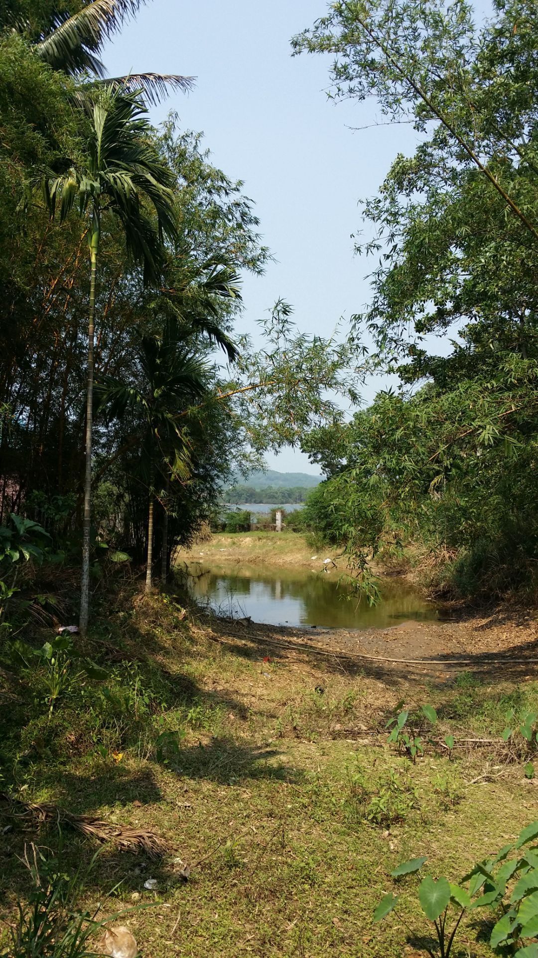 木色湖旅游度假景区