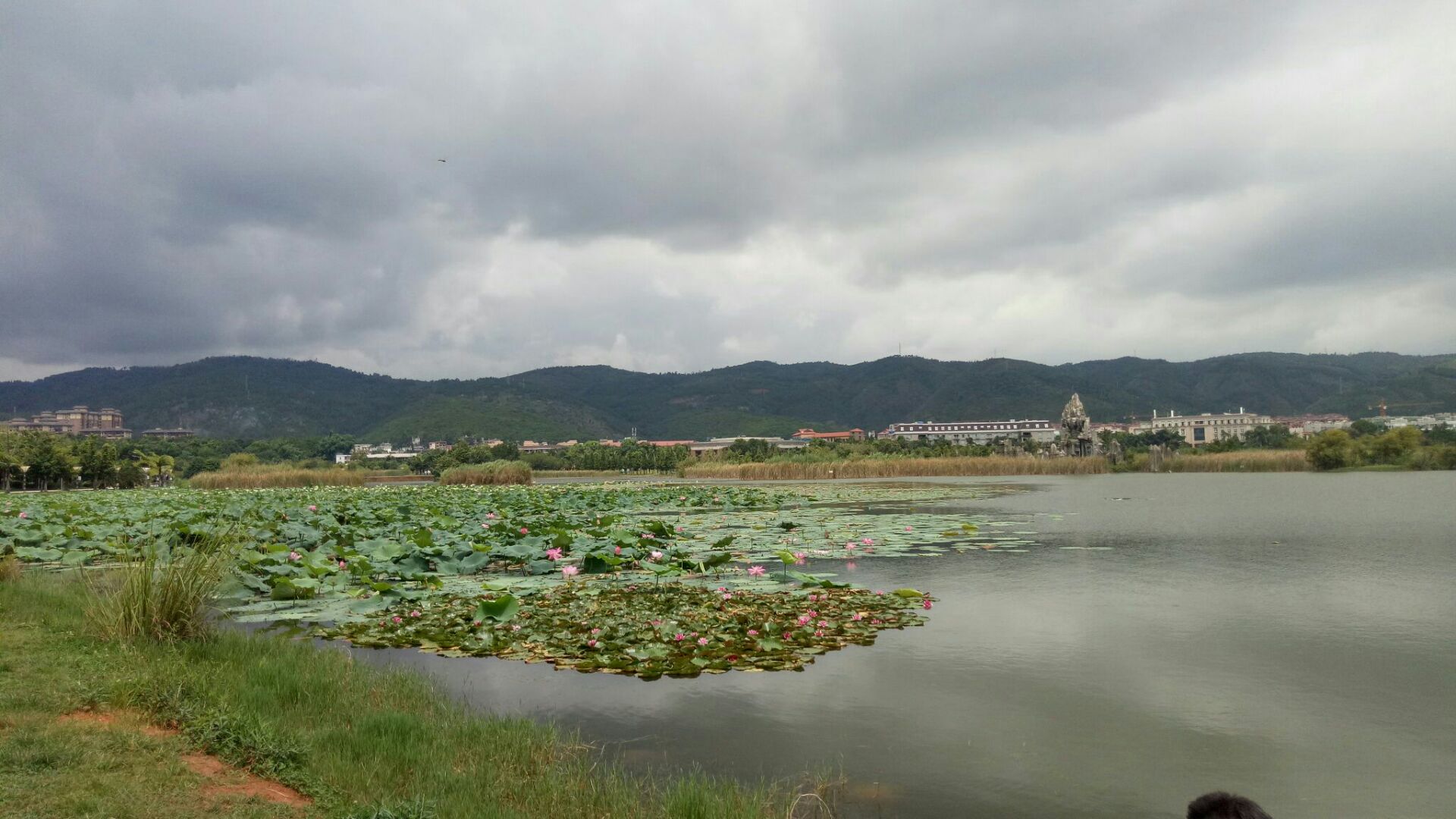 长桥海大屯海湿地