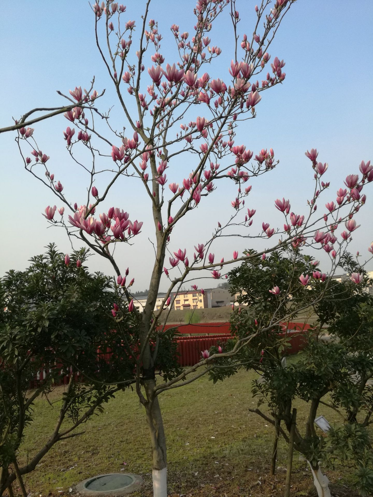 麻山双月湾湿地公园