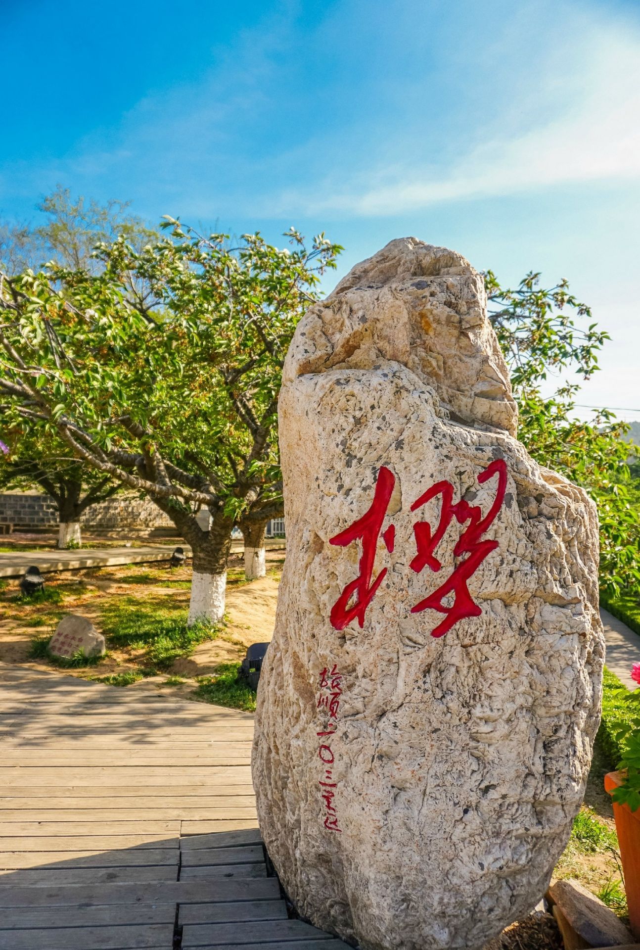 203高地樱花园