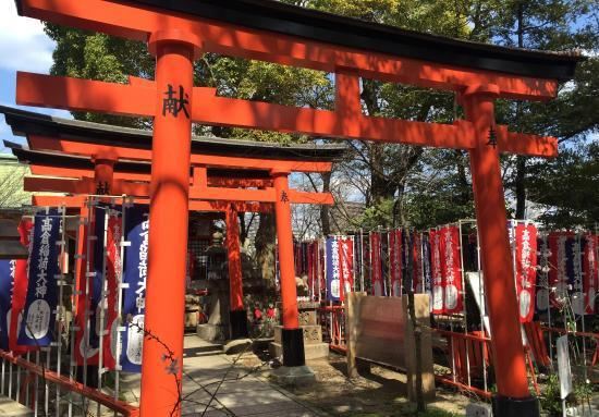 高津神社图片