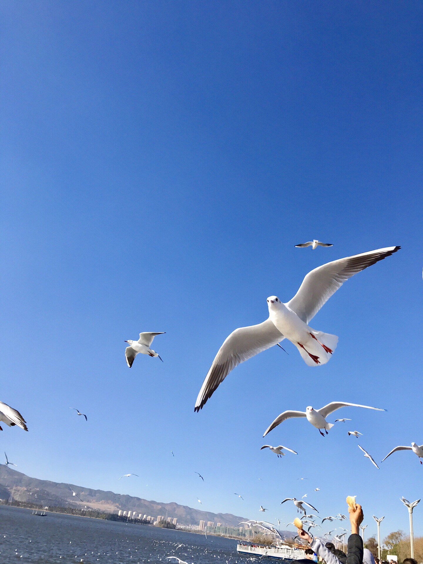 易门县南屯湖生态旅游园二期公园
