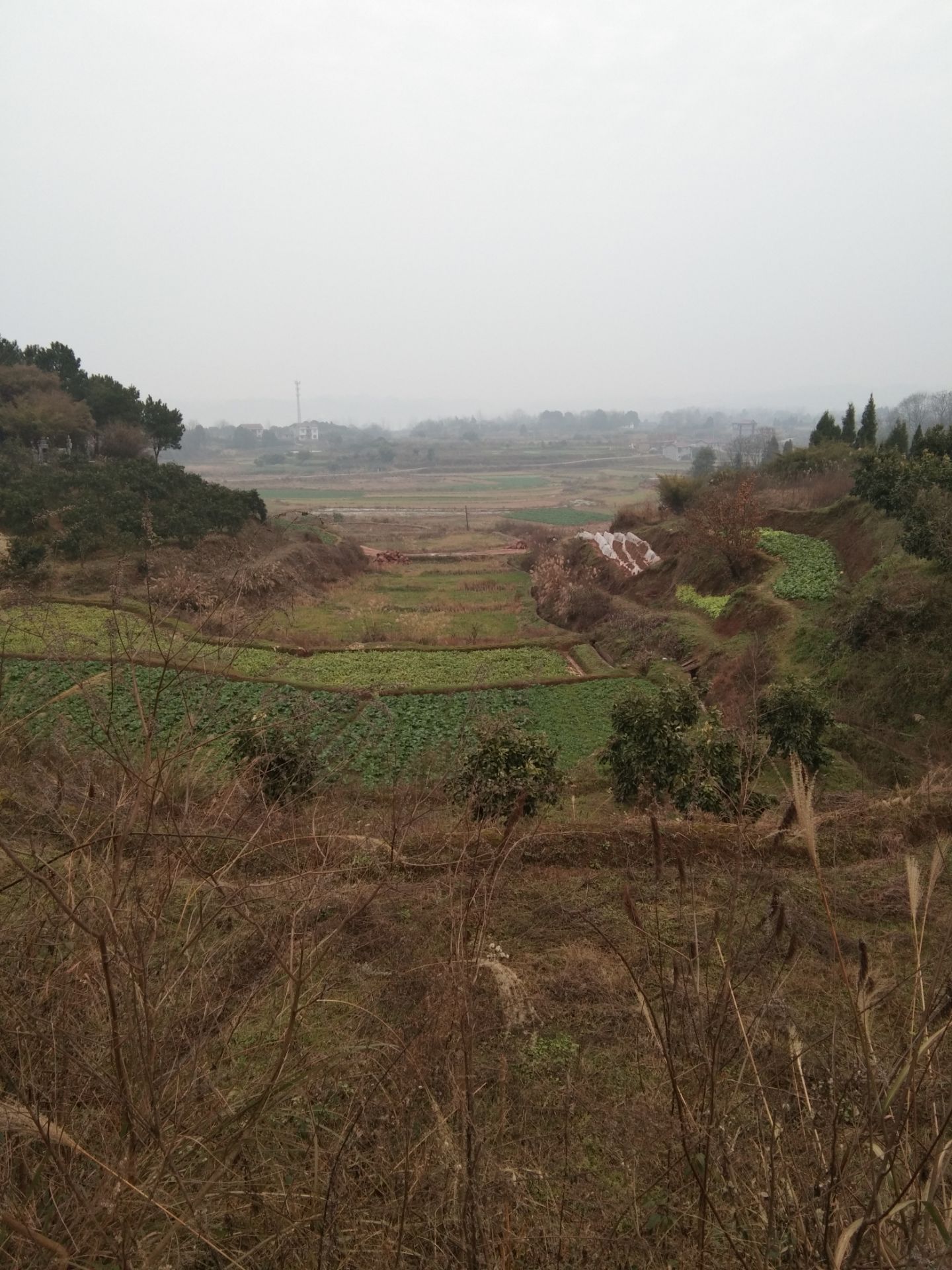 木马岭墓群