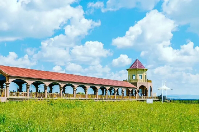 岱海