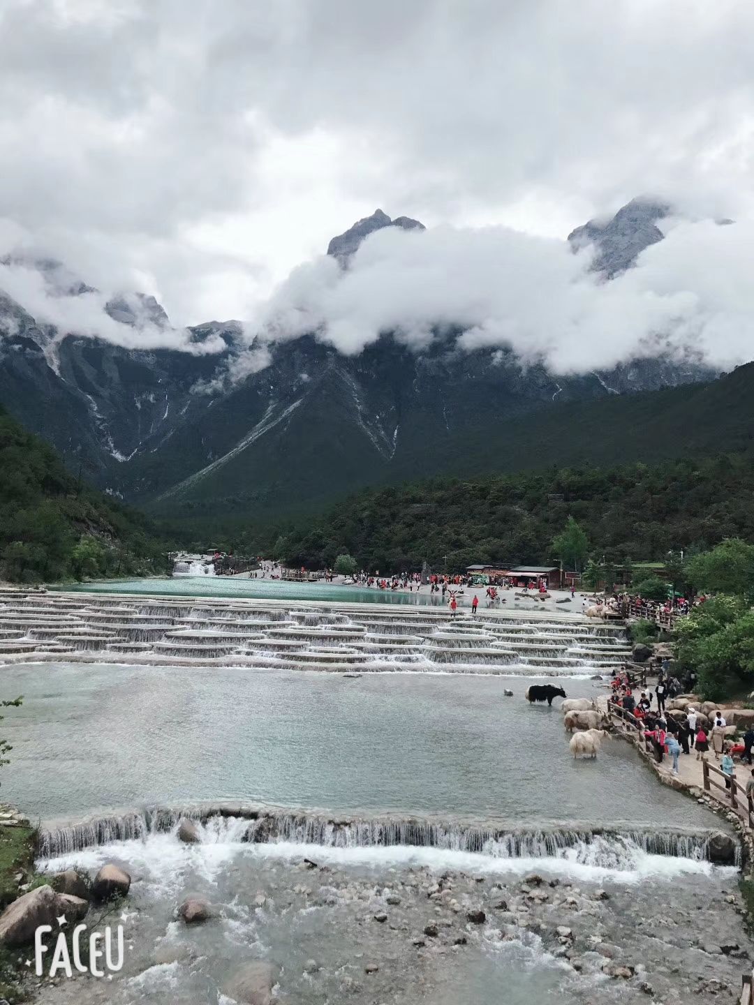 武城县图书馆