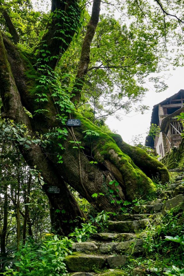 白际原生态风景区