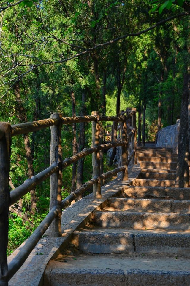 济南佛慧山风景区攻略,济南佛慧山风景区门票/游玩攻略/地址/图片