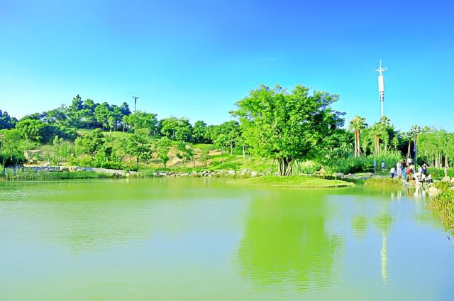 晉江八仙山公園攻略,晉江八仙山公園門票/遊玩攻略/地址/圖片/門票