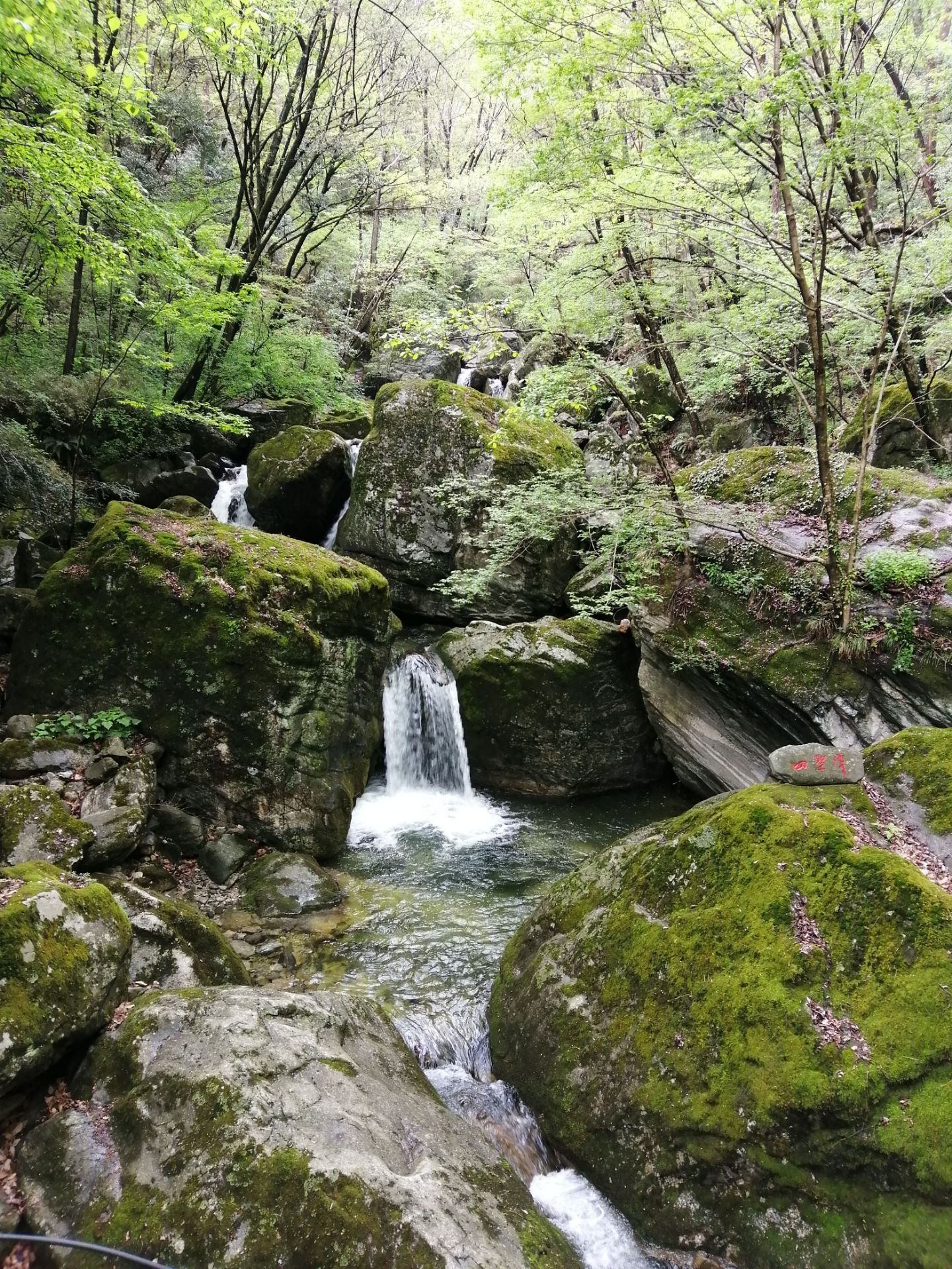 羚牛谷景区-凉亭