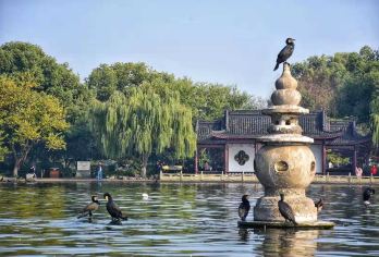 真纯玩10人团：西湖+西湖游船+苏堤+花港观鱼+灵隐寺一日游【[纯玩]一手团，真纯玩，无喝茶或带到丝绸店等任何隐性消费。放心购买】