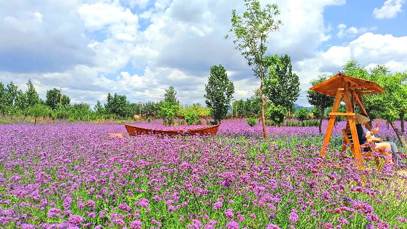 紫云水岸香草园