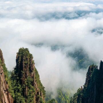 莽山五指峰一日游【1-4人小团含门票+索道往返+东进东出】