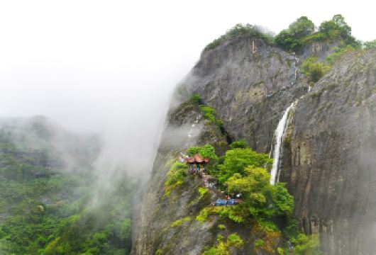 保证有竹筏+武夷山+九曲溪竹筏+天游峰+导游讲解+品茗一日游【1人起订，行程可定制更自由。】