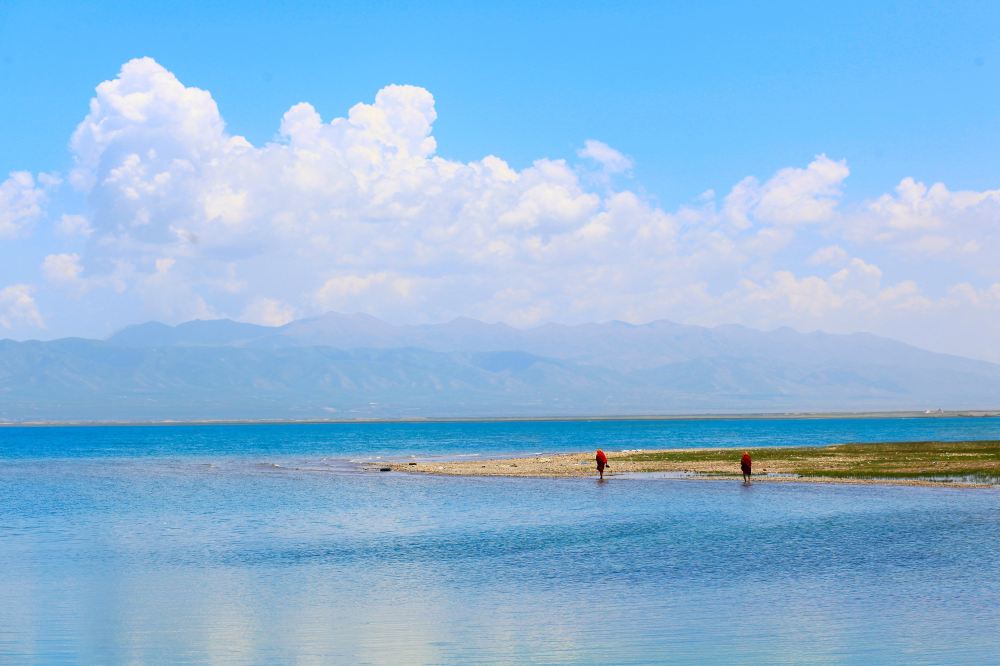 青海湖金银滩草原原子城纪念馆一日活动纯玩费用全含市区定点集合赠