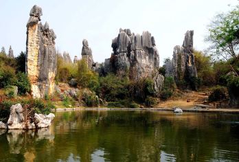 昆明石林风景区+滇池+海埂公园私家团【三环内接送+含电瓶车】【全程不进任何购物店，纯玩。】
