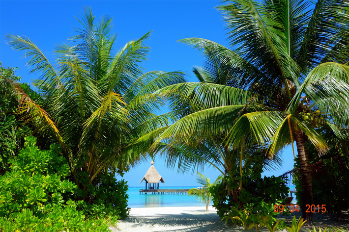 马尔代夫星宇之岛Canareef(原幸福岛 Herathe