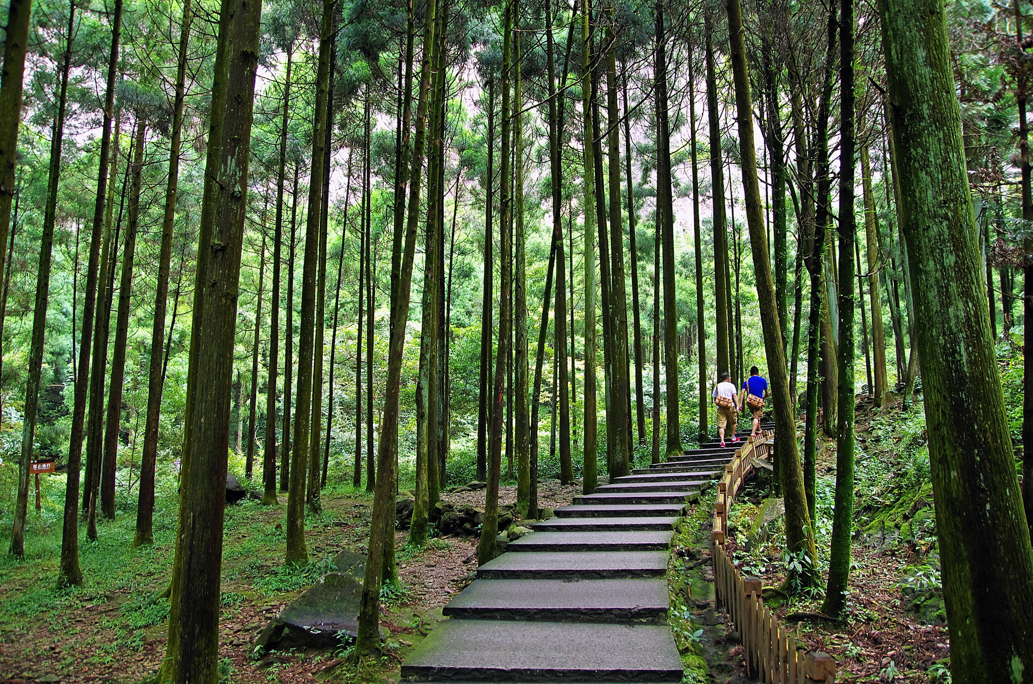 大龙湫景区