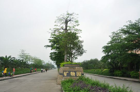 花都之石头记矿物园一日游