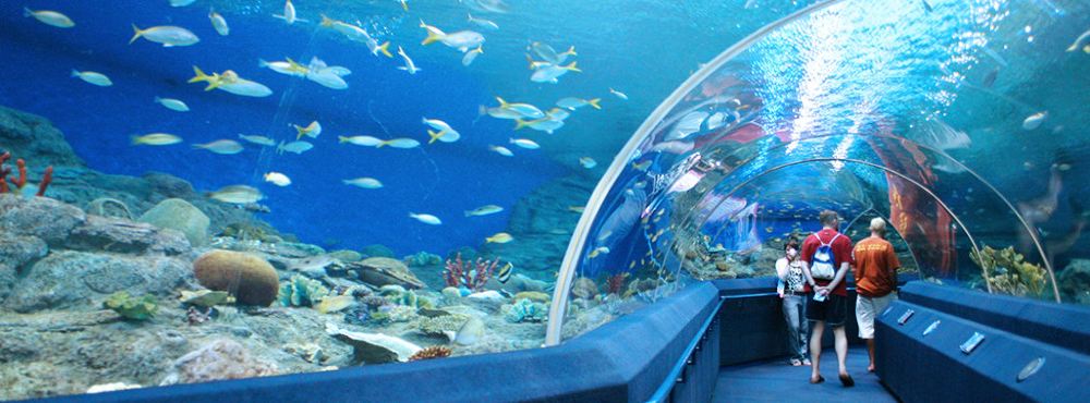 泰国芭提雅海底世界一日游 寓教亲子游 门票 接送 手划船 线路推荐 携程玩乐