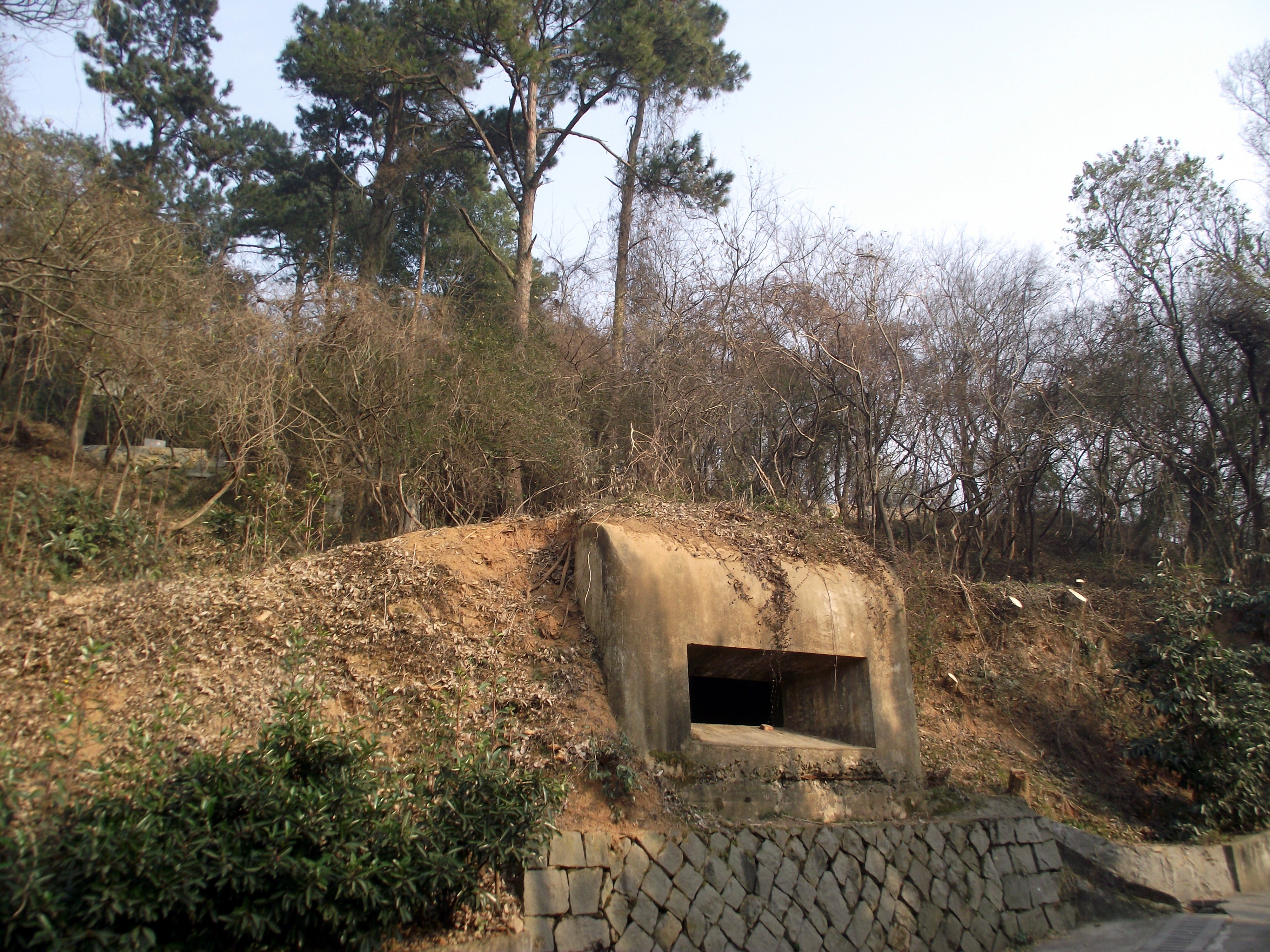 韦金勇:上海东海之滨的海湾,金山嘴景区和浙江乍浦九