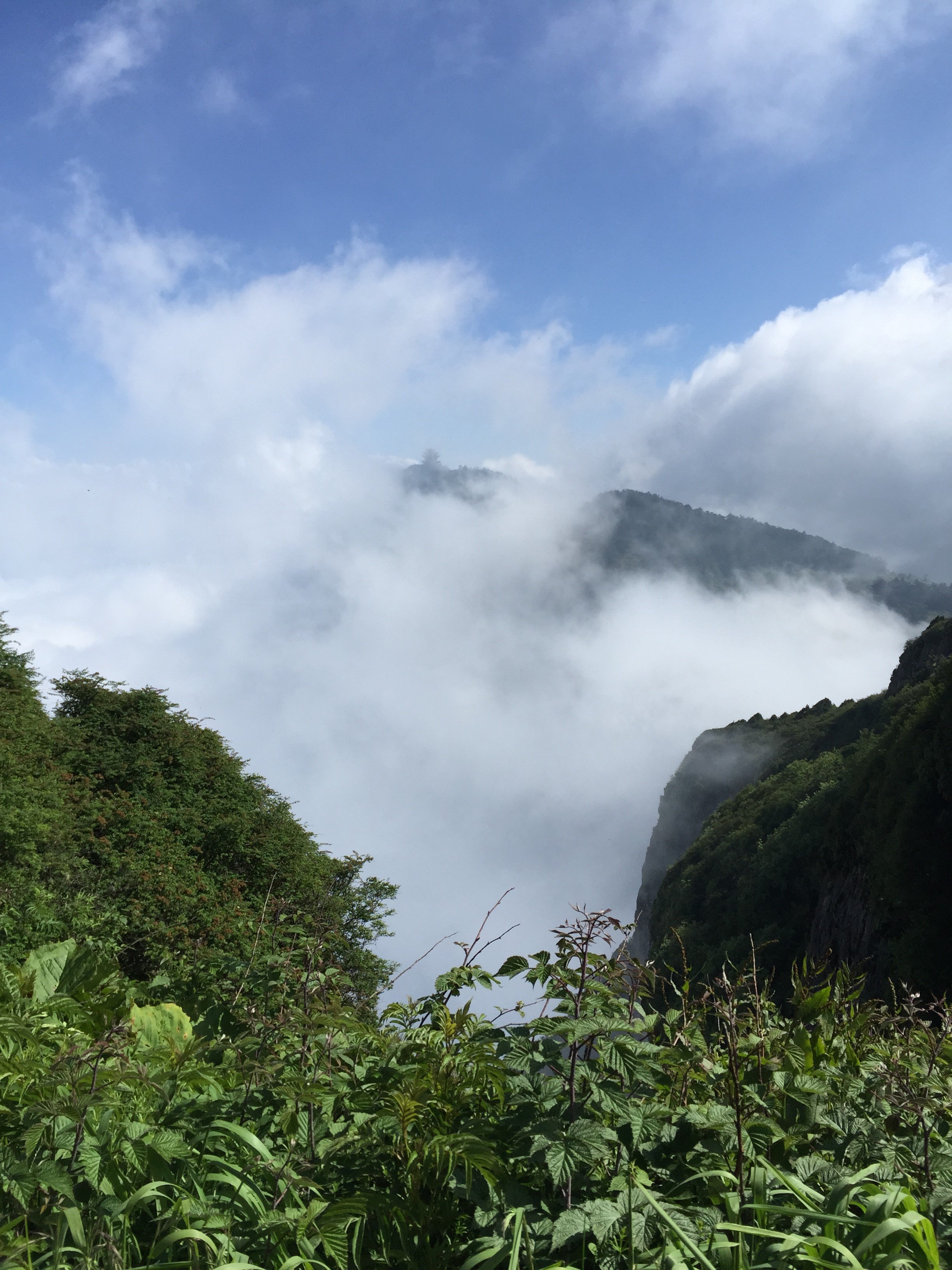 城際高鐵時代的峨眉樂山遊