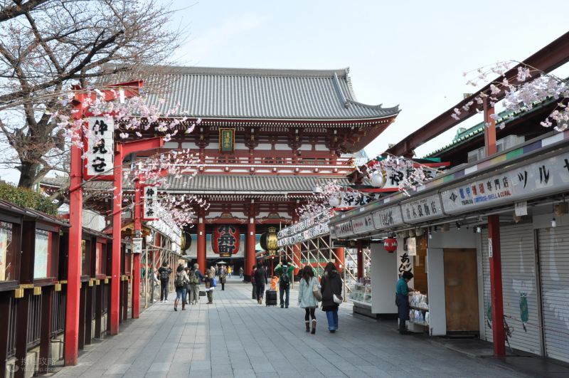 沁园春.东京游思