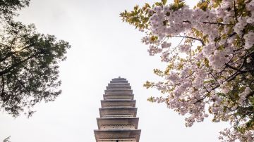 河南洛阳 白马寺 齐云塔院
