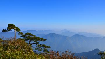三清山DSC_0302