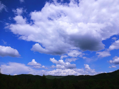 一场忘记岁月的旅行--(呼伦贝尔大草原)