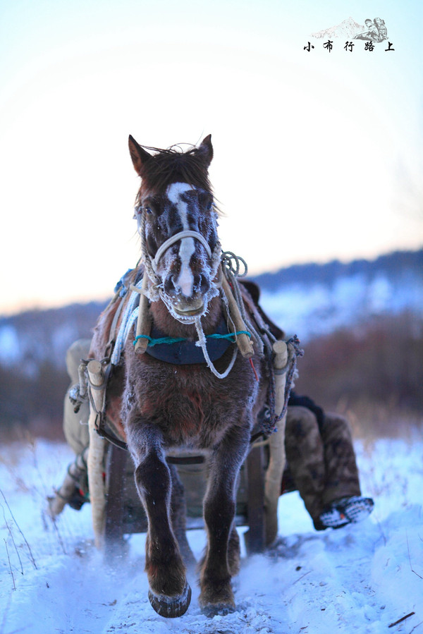 一路向北——漠河北极村