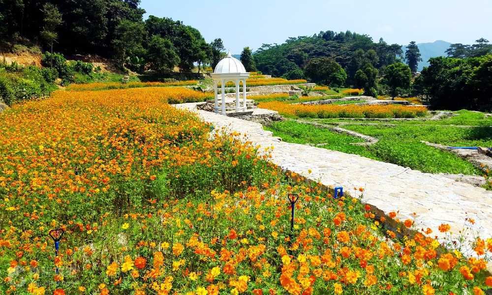 增城旅游(增城旅游必去十大景点)