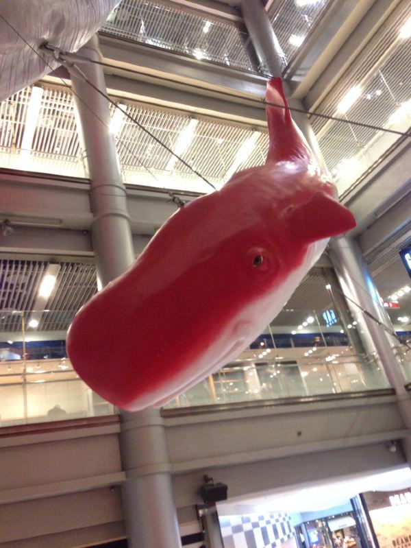 商场里的红色鲸鱼
