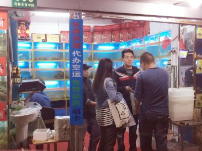 上海黄记阳澄湖大闸蟹专卖店购物攻略 黄记阳澄湖大闸蟹专卖店物中心 地址 电话 营业时间 携程攻略 上海黄记阳澄湖大闸蟹专卖店购物攻略 黄记阳澄湖大闸蟹专卖店物中心 地址 电话 营业时间 携程攻略