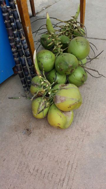 寻找歌声中萦绕耳边的西双版纳