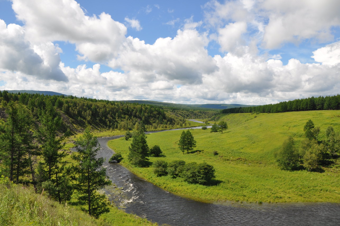 自驾东北行(一)美丽的呼伦贝尔大草原