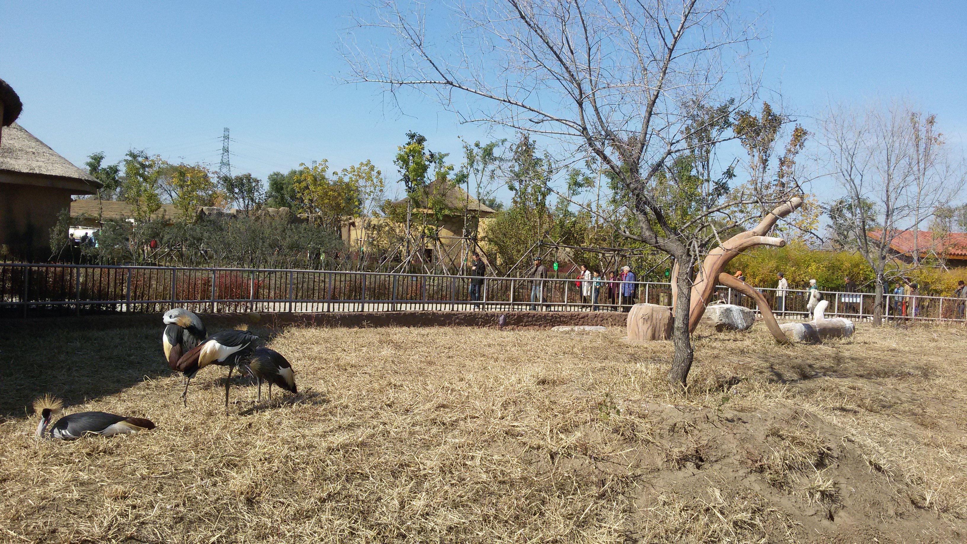 齊齊哈爾市龍沙動植物園感悟:孩子流連,大人休閒;親近自然,呵護家園