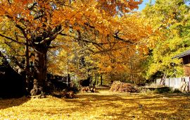 腾冲天气预报,历史气温,旅游指数,腾冲一周天气