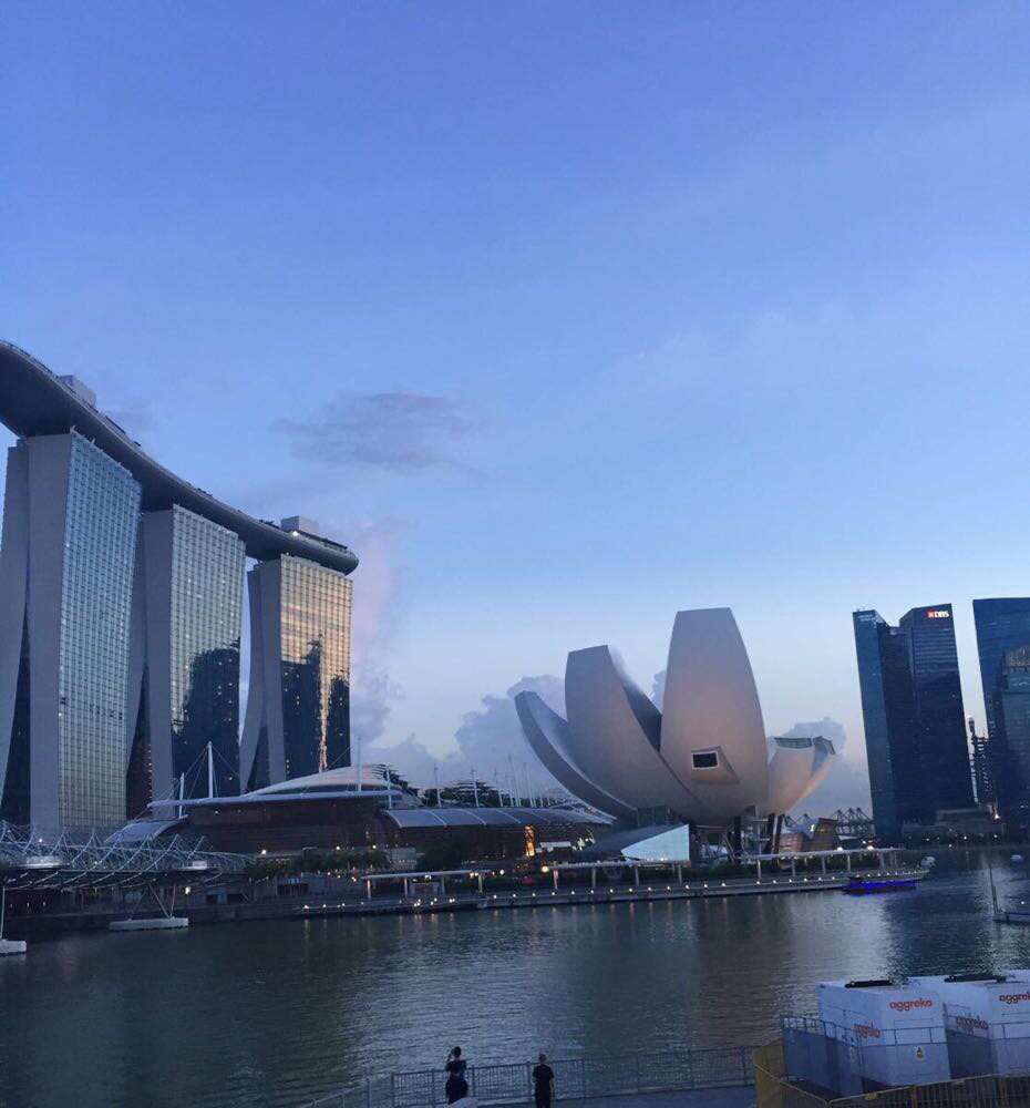 阿凡达花园的阳光---新加坡