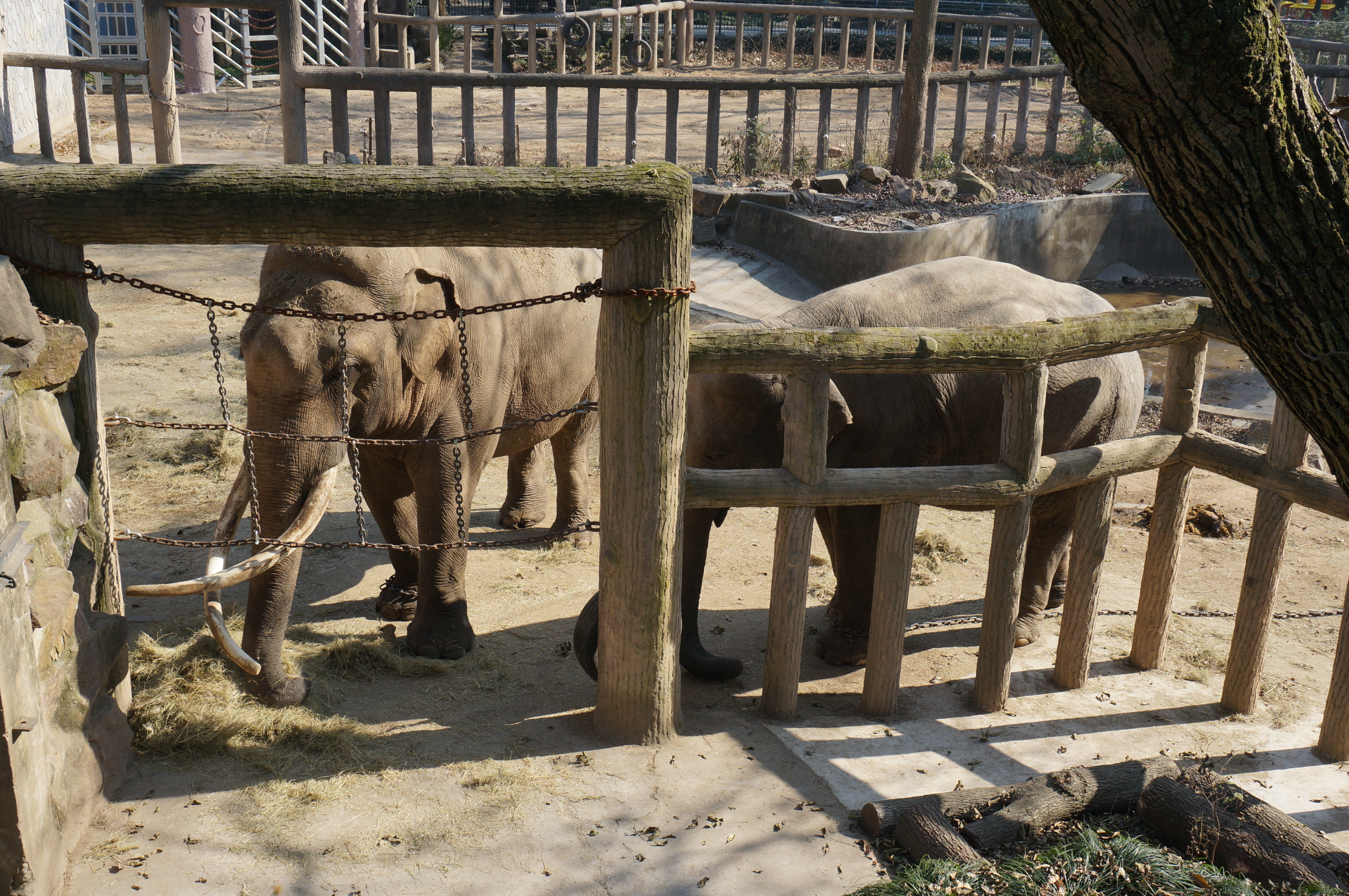 杭州動物園