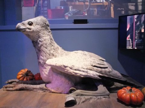 鹰头马身有翼兽——巴克比克,里面有很复杂的机械装置,道具是会动的.