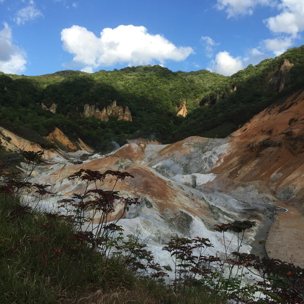 灰白和褐色的岩層加上許多地熱自地底噴出,形成特殊的火山地形景觀