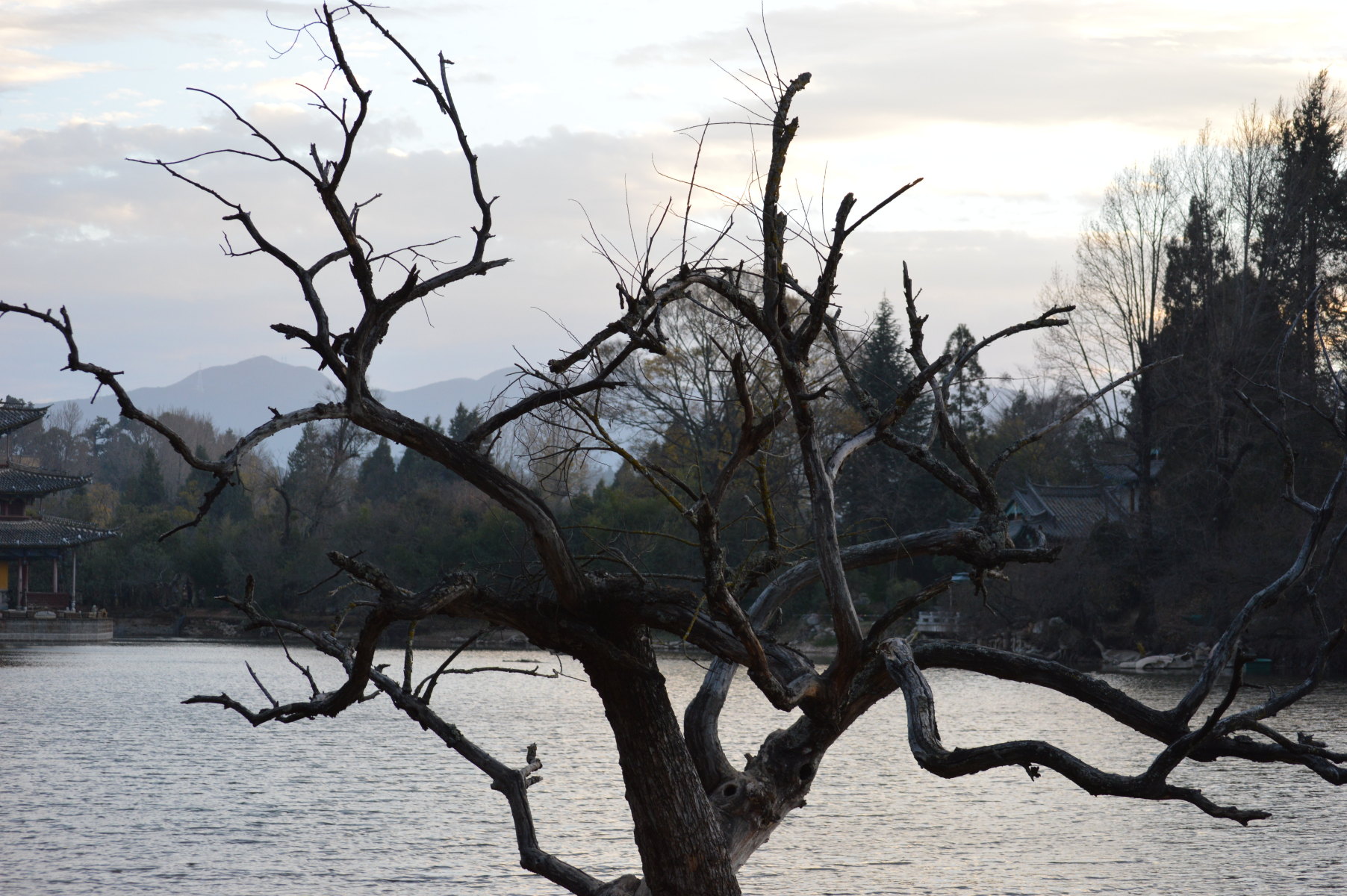 丽江五天四晚一人自由行
