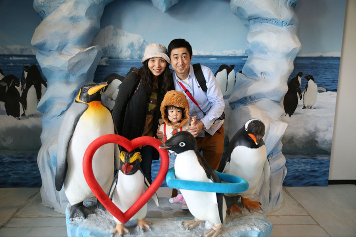 日本大阪7天小资亲子自由行,海游馆、环球影城