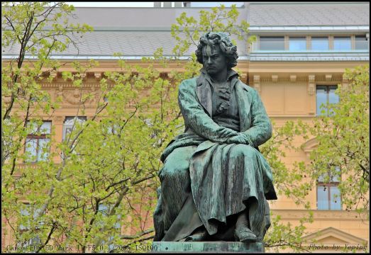 贝多芬身披长袍,表情严肃凝重. 维也纳环城大道