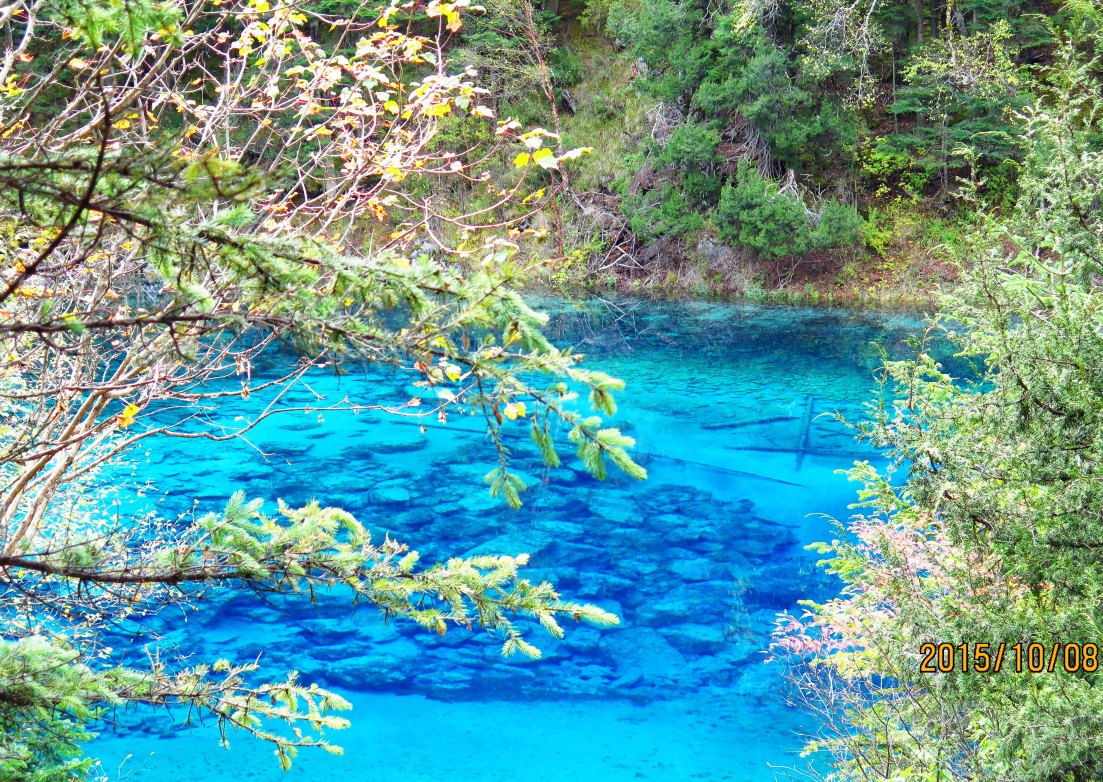 九寨所有的海子里,五彩池的颜色绝对是最艳的,也是面积最小的.