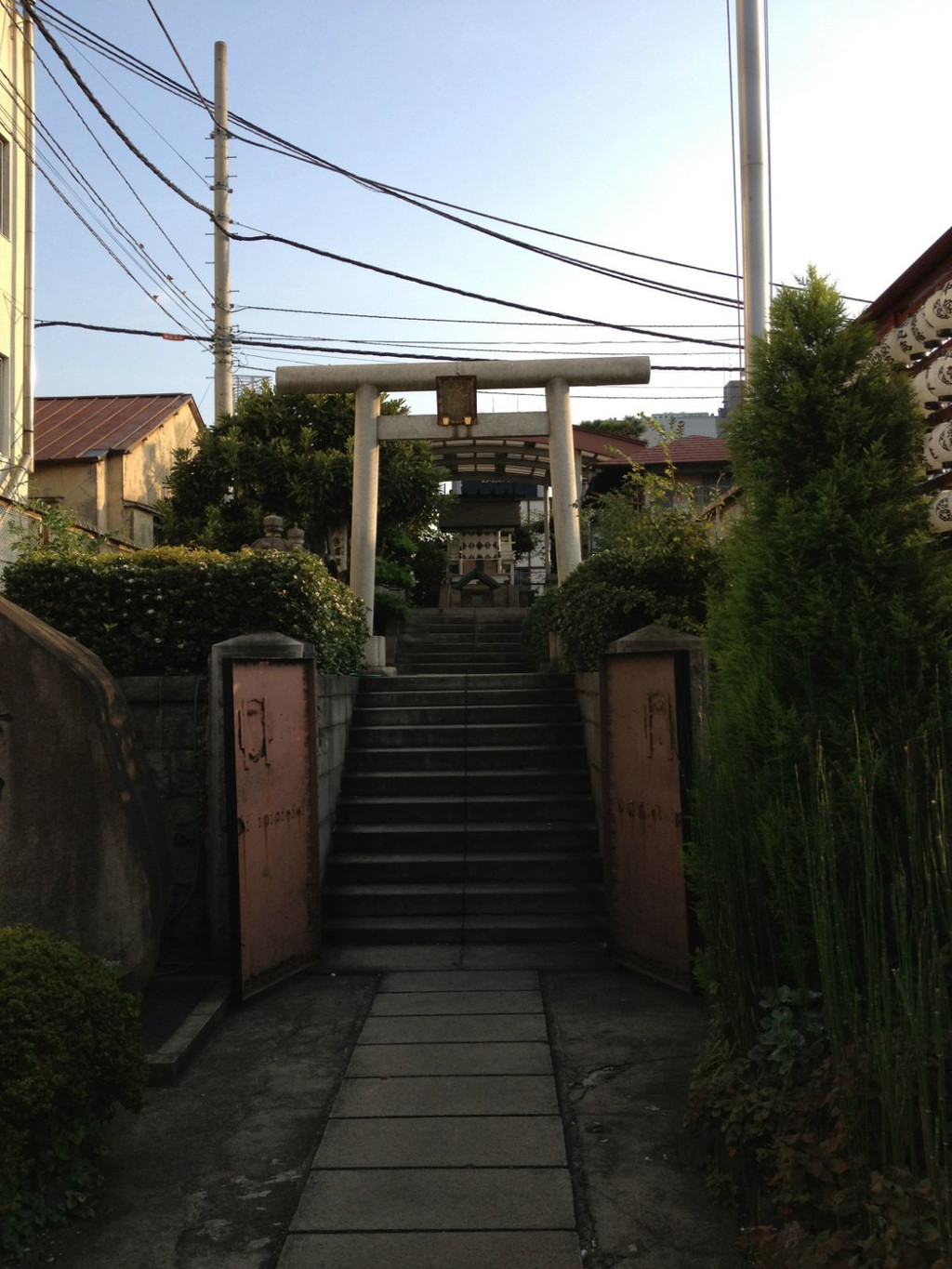 筑地市场早拍——想要看你不容易.