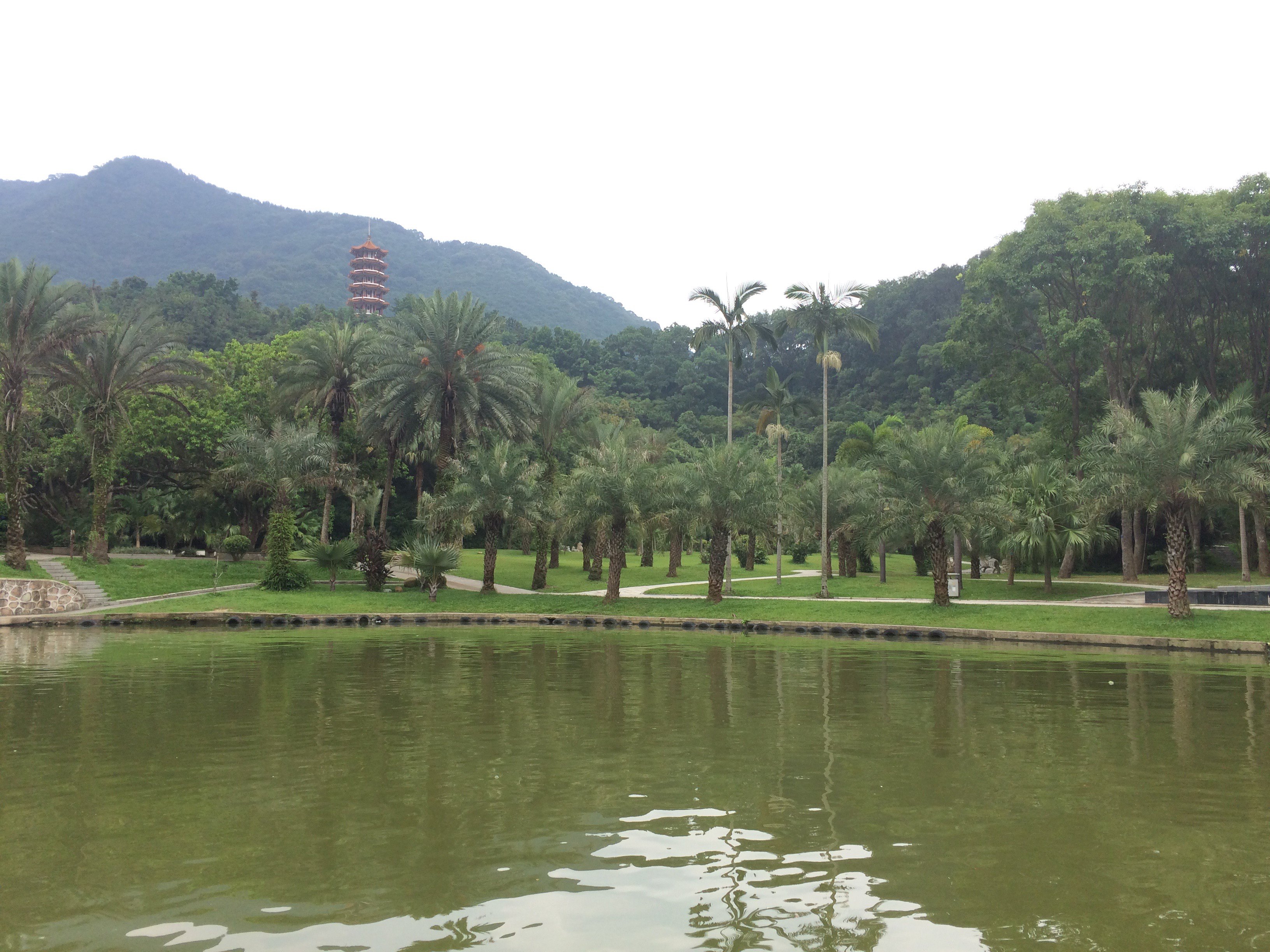 仙湖植物園