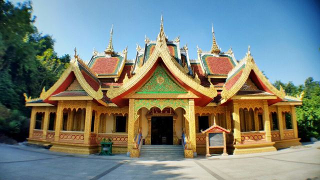 骚哆哩在金版纳